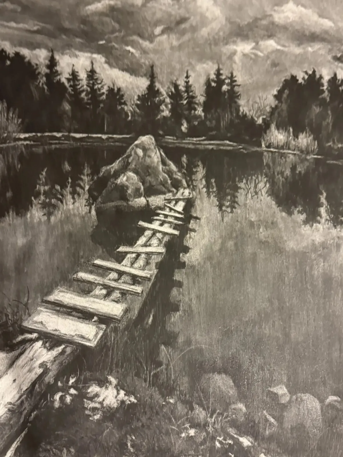 Графика углём – Яна, 14 лет